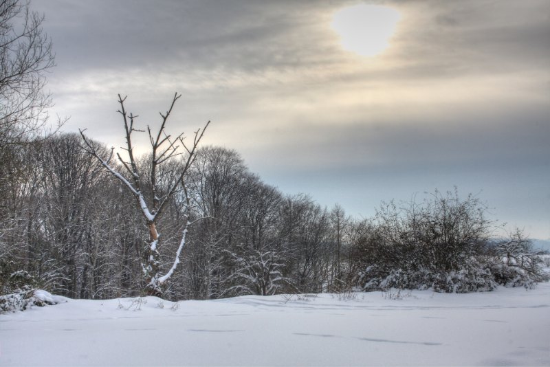 Winter 28.12.2010_12.JPG